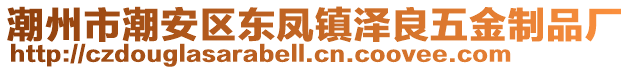 潮州市潮安區(qū)東鳳鎮(zhèn)澤良五金制品廠