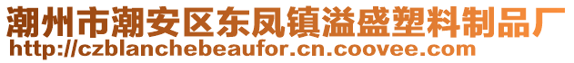 潮州市潮安區東鳳鎮溢盛塑料制品廠
