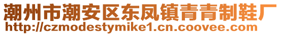 潮州市潮安區東鳳鎮青青制鞋廠