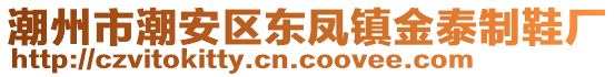 潮州市潮安區東鳳鎮金泰制鞋廠