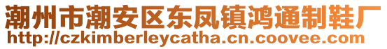 潮州市潮安區東鳳鎮鴻通制鞋廠