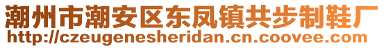 潮州市潮安區(qū)東鳳鎮(zhèn)共步制鞋廠