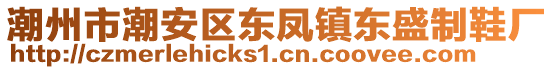 潮州市潮安區(qū)東鳳鎮(zhèn)東盛制鞋廠