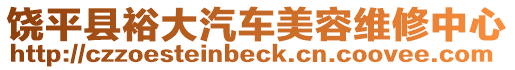 饒平縣裕大汽車美容維修中心