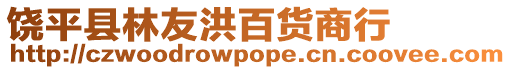 饒平縣林友洪百貨商行