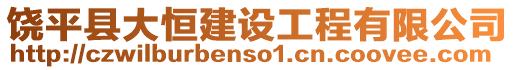 饒平縣大恒建設(shè)工程有限公司