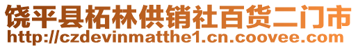 饒平縣柘林供銷社百貨二門市