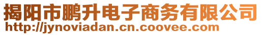 揭陽市鵬升電子商務有限公司