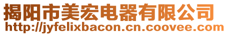 揭陽市美宏電器有限公司