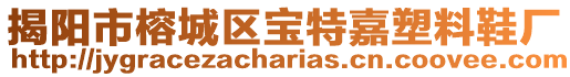揭陽市榕城區(qū)寶特嘉塑料鞋廠