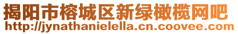 揭陽市榕城區新綠橄欖網吧