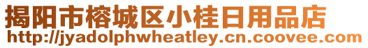 揭陽市榕城區小桂日用品店