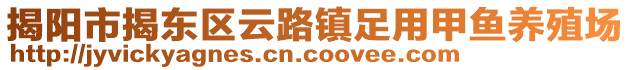 揭陽市揭東區(qū)云路鎮(zhèn)足用甲魚養(yǎng)殖場