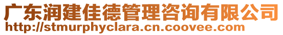 廣東潤建佳德管理咨詢有限公司