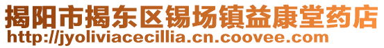 揭陽(yáng)市揭東區(qū)錫場(chǎng)鎮(zhèn)益康堂藥店