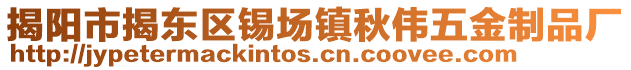 揭陽市揭東區(qū)錫場鎮(zhèn)秋偉五金制品廠