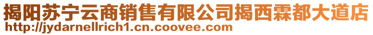 揭陽蘇寧云商銷售有限公司揭西霖都大道店