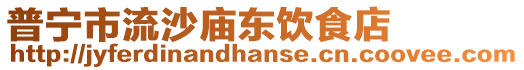 普寧市流沙廟東飲食店