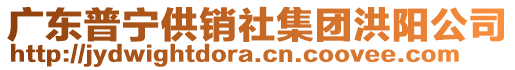 廣東普寧供銷社集團(tuán)洪陽公司