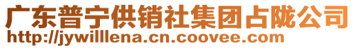 廣東普寧供銷社集團(tuán)占隴公司