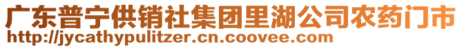 廣東普寧供銷社集團(tuán)里湖公司農(nóng)藥門市