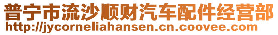 普寧市流沙順財汽車配件經營部