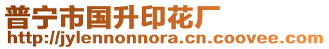 普寧市國升印花廠