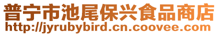 普寧市池尾保興食品商店