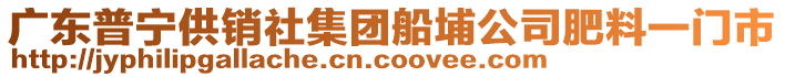 廣東普寧供銷社集團(tuán)船埔公司肥料一門市