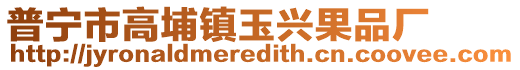 普寧市高埔鎮(zhèn)玉興果品廠