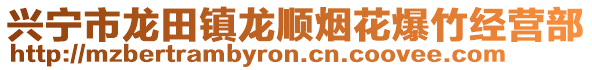 興寧市龍?zhí)镦?zhèn)龍順煙花爆竹經(jīng)營(yíng)部