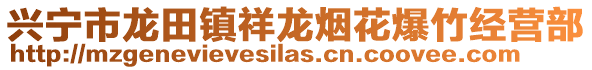 興寧市龍?zhí)镦?zhèn)祥龍煙花爆竹經(jīng)營部