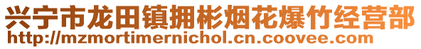 興寧市龍?zhí)镦?zhèn)擁彬煙花爆竹經(jīng)營(yíng)部