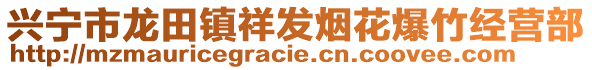 興寧市龍?zhí)镦?zhèn)祥發(fā)煙花爆竹經(jīng)營(yíng)部