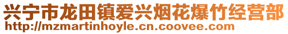 興寧市龍?zhí)镦?zhèn)愛(ài)興煙花爆竹經(jīng)營(yíng)部