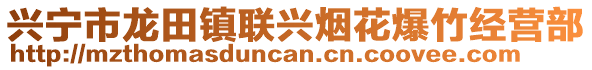 興寧市龍?zhí)镦?zhèn)聯(lián)興煙花爆竹經(jīng)營部