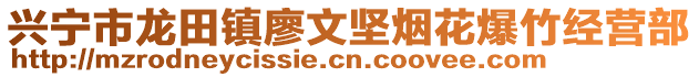 兴宁市龙田镇廖文坚烟花爆竹经营部