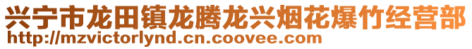 兴宁市龙田镇龙腾龙兴烟花爆竹经营部