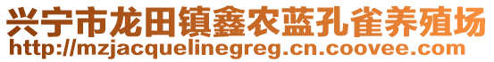 兴宁市龙田镇鑫农蓝孔雀养殖场