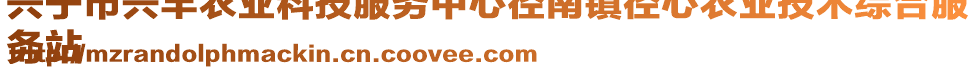 興寧市興豐農(nóng)業(yè)科技服務(wù)中心徑南鎮(zhèn)徑心農(nóng)業(yè)技術(shù)綜合服
務(wù)站
