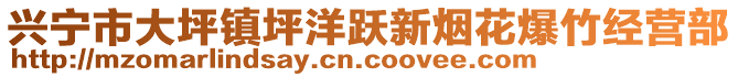 興寧市大坪鎮(zhèn)坪洋躍新煙花爆竹經(jīng)營部