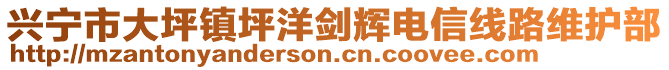 興寧市大坪鎮(zhèn)坪洋劍輝電信線路維護部