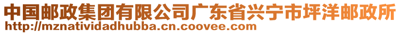 中國(guó)郵政集團(tuán)有限公司廣東省興寧市坪洋郵政所