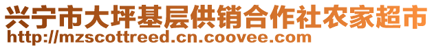 興寧市大坪基層供銷合作社農(nóng)家超市