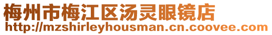 梅州市梅江區湯靈眼鏡店