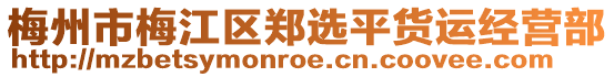 梅州市梅江區(qū)鄭選平貨運(yùn)經(jīng)營部