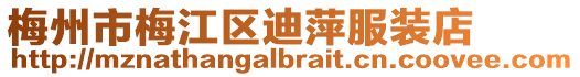梅州市梅江區(qū)迪萍服裝店