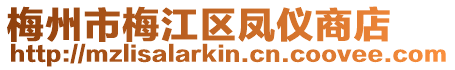 梅州市梅江區鳳儀商店