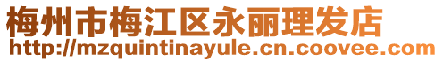 梅州市梅江區永麗理發店
