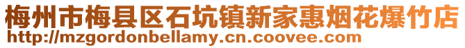 梅州市梅县区石坑镇新家惠烟花爆竹店